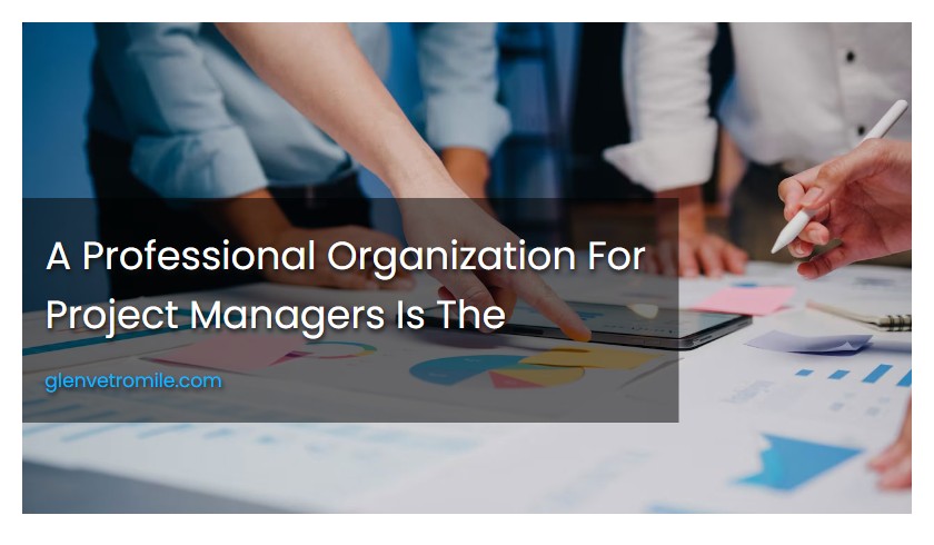 A Professional Organization For Project Managers Is The