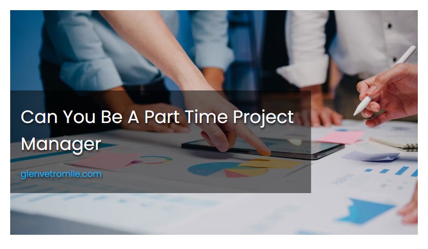 Can You Be A Part Time Project Manager