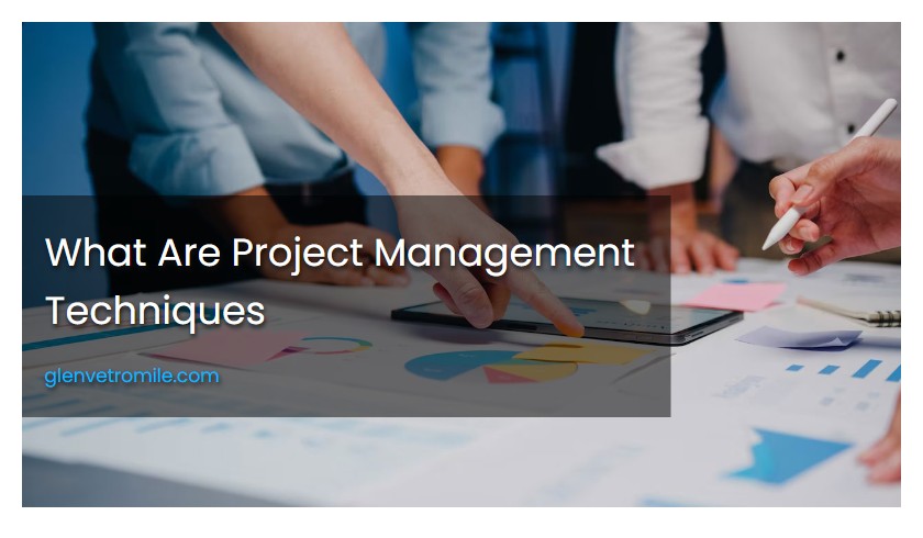 What Are Project Management Techniques