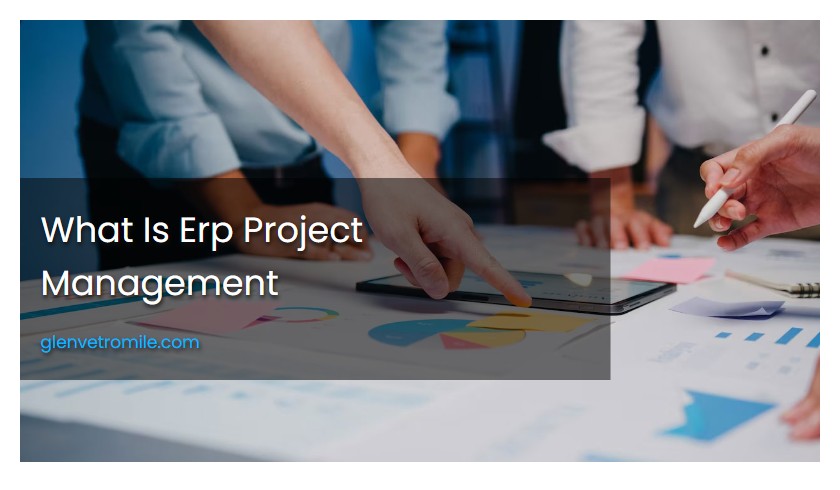 What Is Erp Project Management