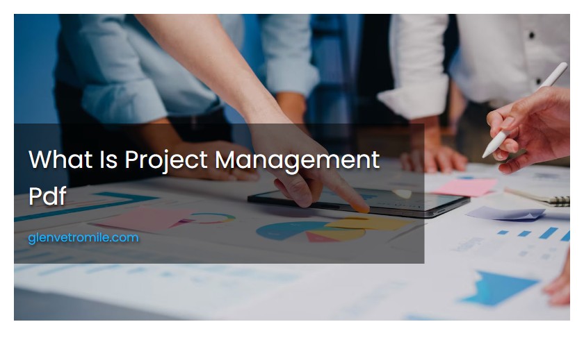What Is Project Management Pdf