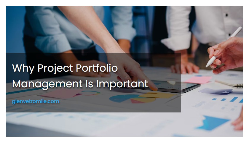 Why Project Portfolio Management Is Important